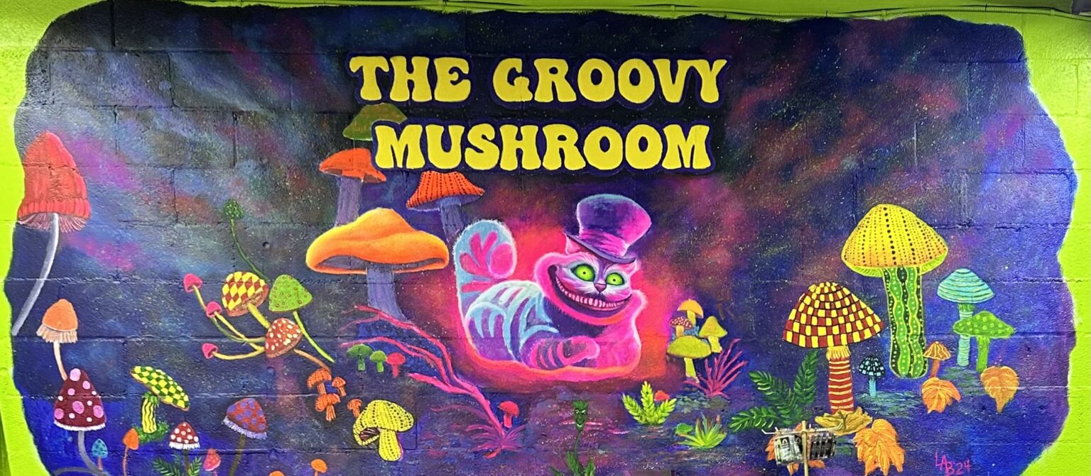 The groovy mushroom webster county tourism