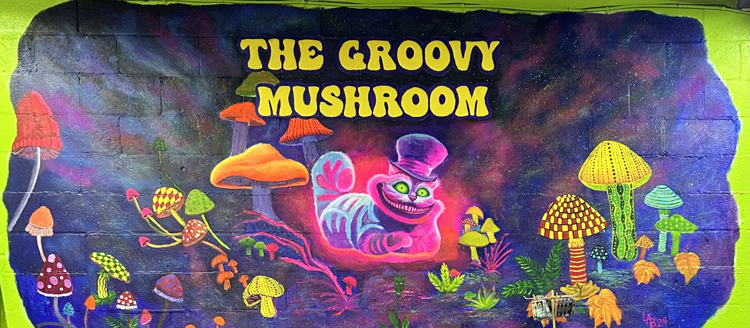 The Groovy Mushroom - Webster County Tourism